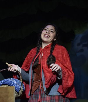 Little Red Riding Hood