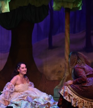 Cinderella and the Baker's Wife